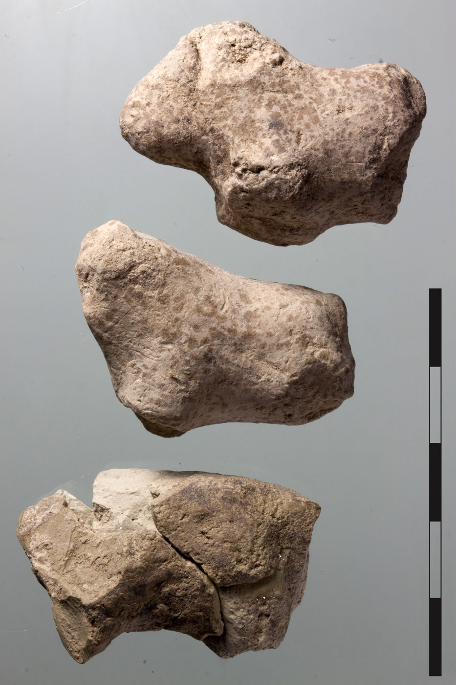 Clay zoomorphic figurines in the form of cattle and goat (from the top: cattle, cattle, goat)