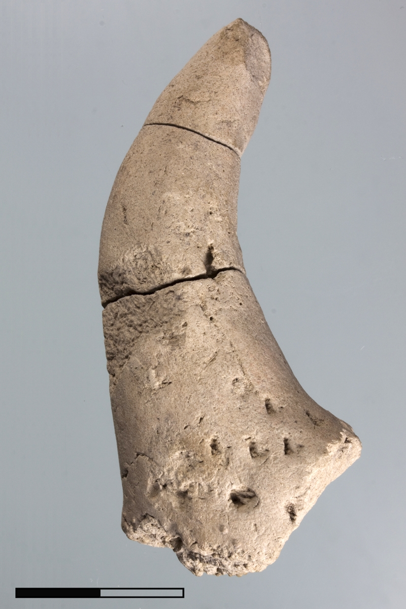 Clay object in the form of an animal horn.
