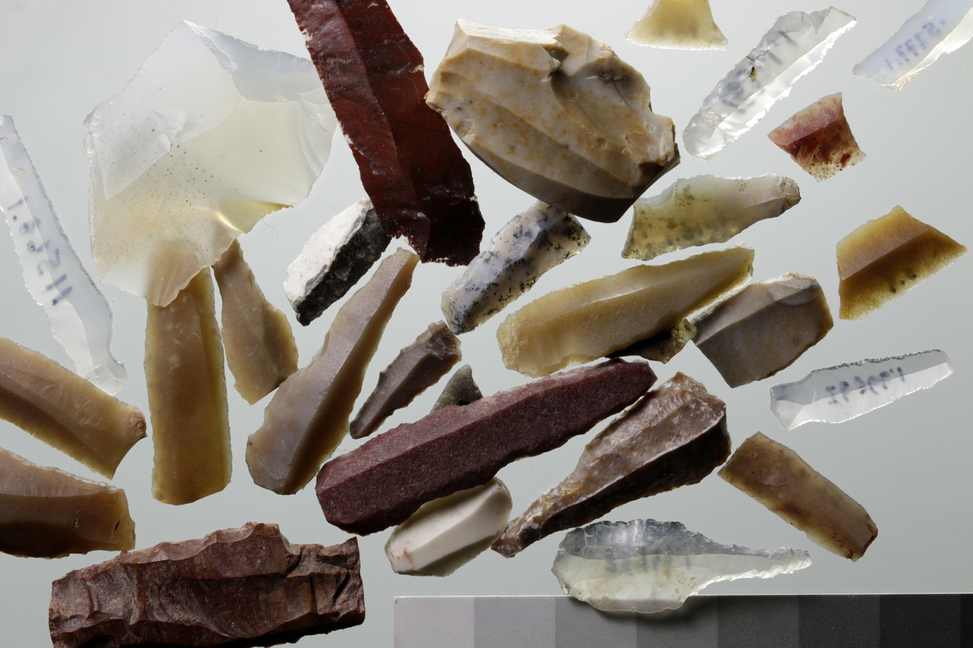 An array of chipped stone tools made on a variety of raw materials