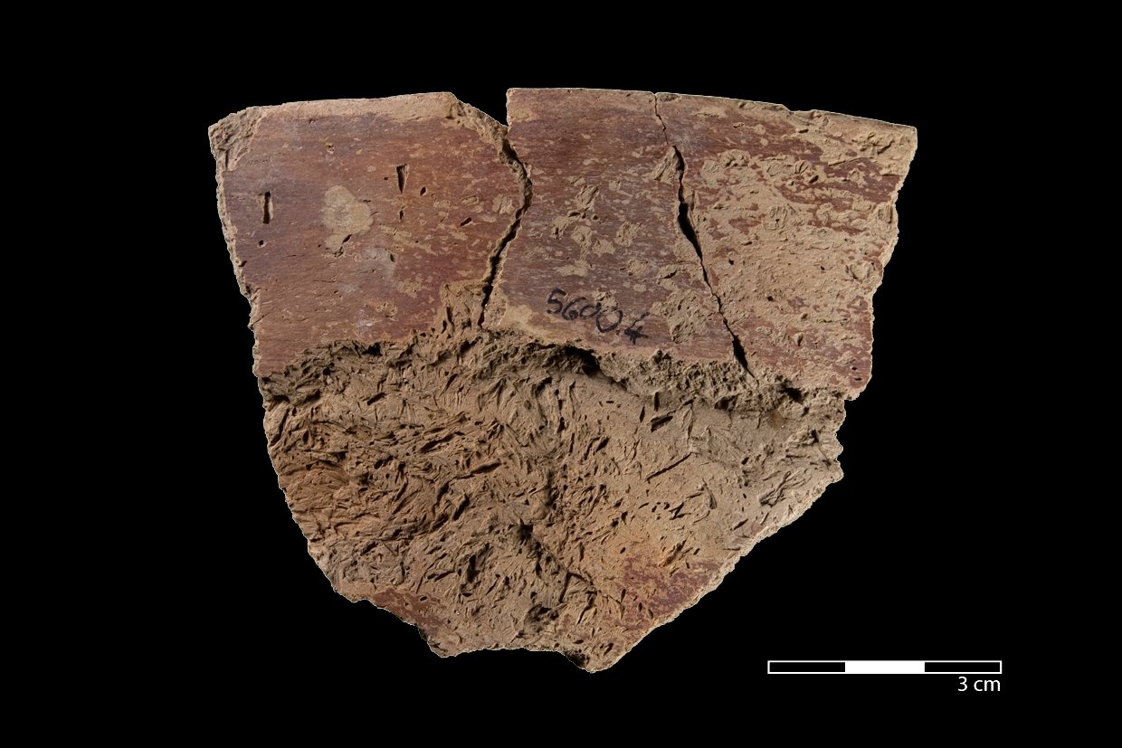 (RN 5600.3+4) Randscherbe einer großen, offenen Schale der Neolithic Brown Wash-Ware. Die starke organische Magerung ist gut sichtbar.