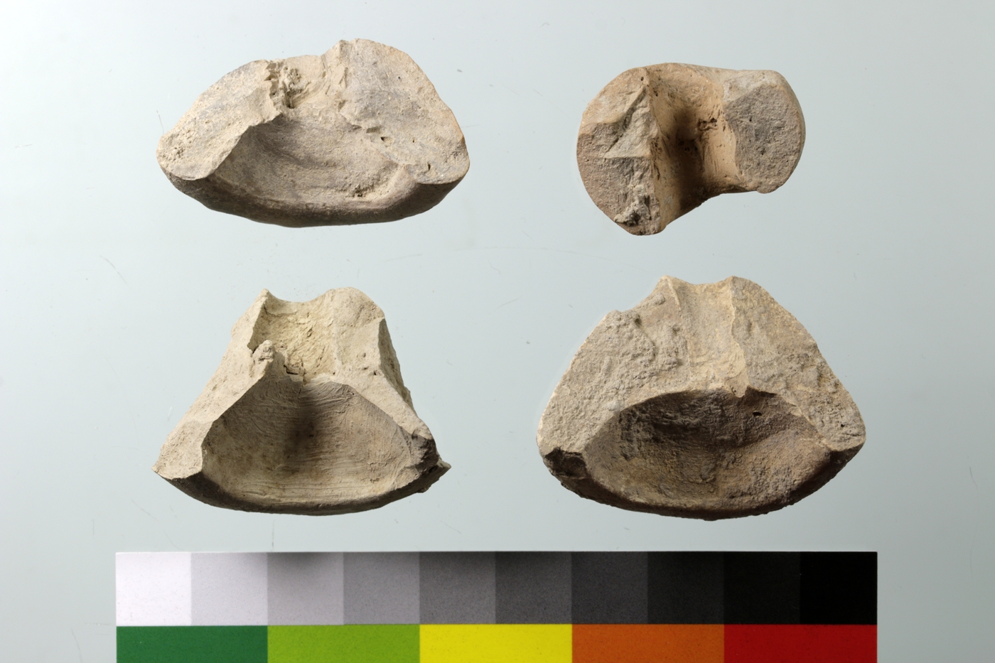 Funnel-shaped spindle whorls (left and lower right) and one conical spindle whorl (upper right) in cross-section